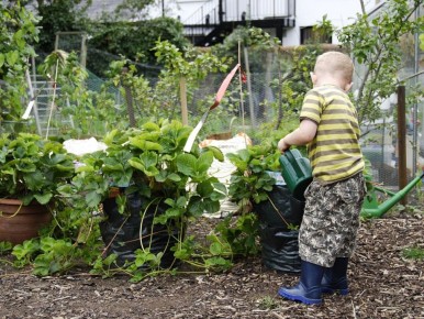 ������ ������� ������, ������� ������� ��������� ��� ������