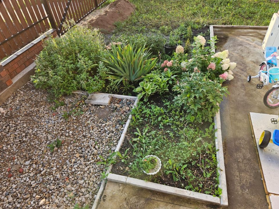 ������������� ������: ��� �������� ������ �������� � ����