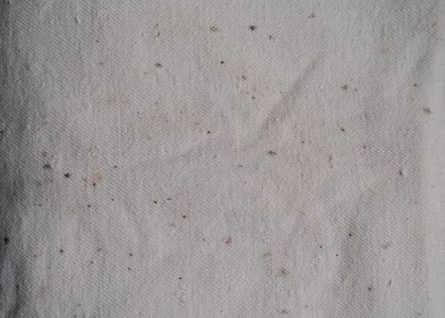 ��� ���������� ������� ������� � ������: ������ � ����������� ������