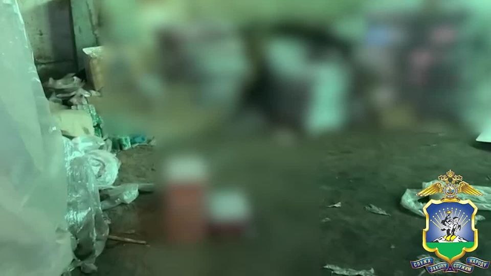 � ������ ����������� ������ ����� 17 ����� ������� ��������������� �������������� ��������� �� 1,5 �������� ������