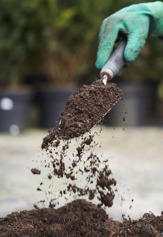 ����� ���������� ��������: ������ � ���� �� �������