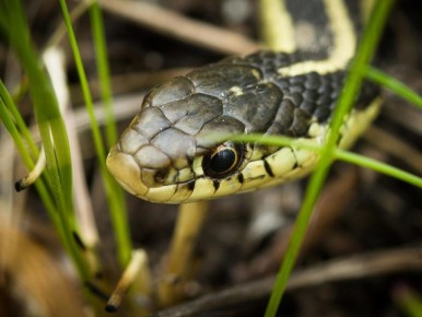 ��� ���������� ��������� ���� �� ����: ������� � ����������� ������