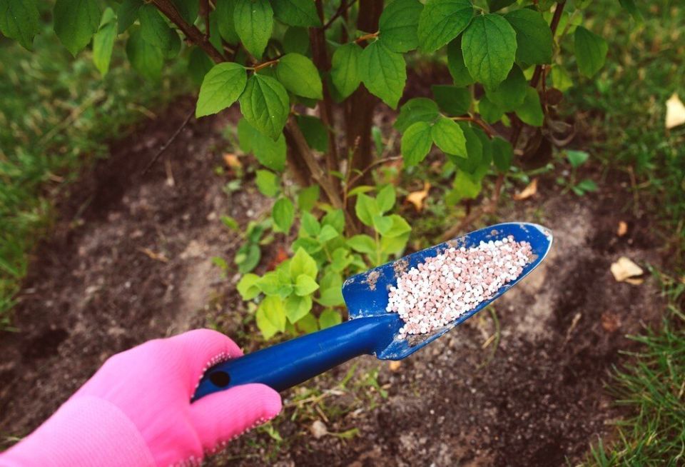 ��������� � ����: ������� ��������� ��� �������� �������� � ������� �������