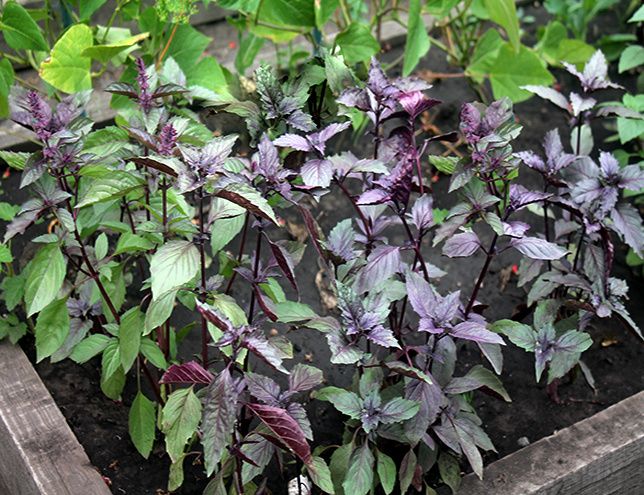 �������� � ������: � ��� ������� � ��� �� ������������?