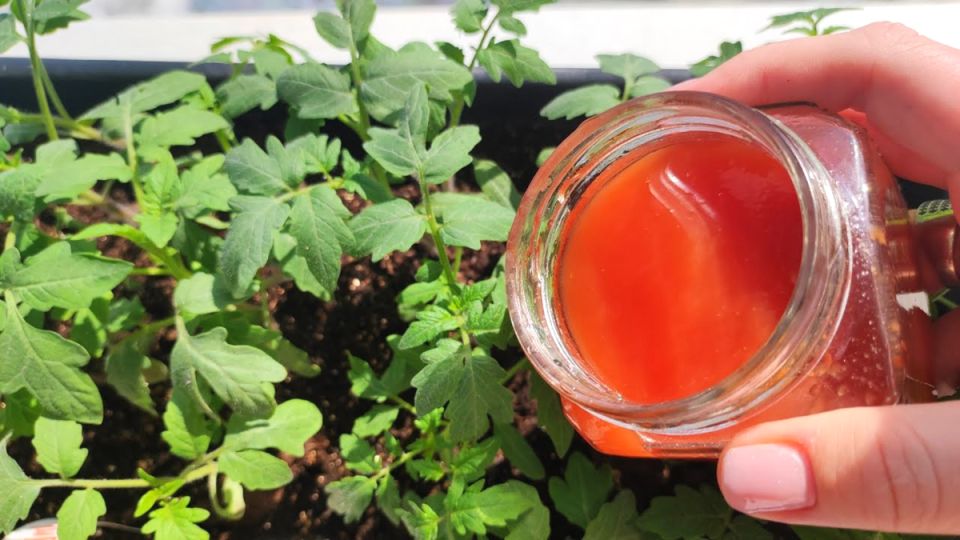 ��� �������� ������ ����� ������ ��� ������