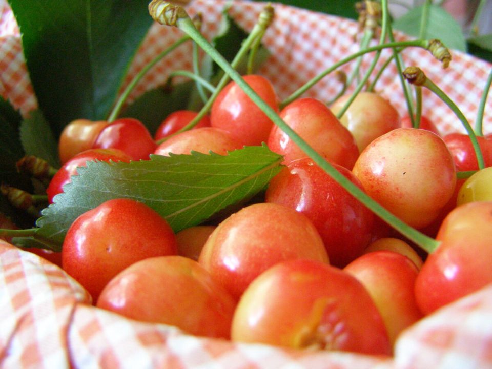 ��� ��������� ���� �����: ������� ������ �� �������