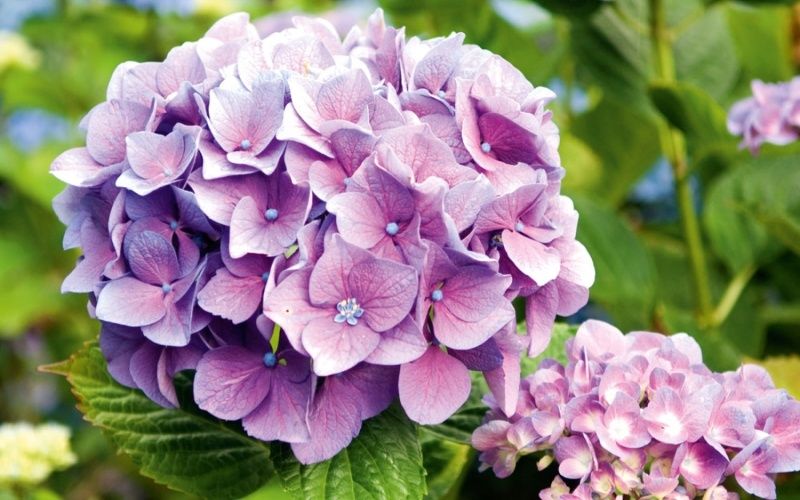 ��� ��������� ���������� ��������� ��� ������� ��������