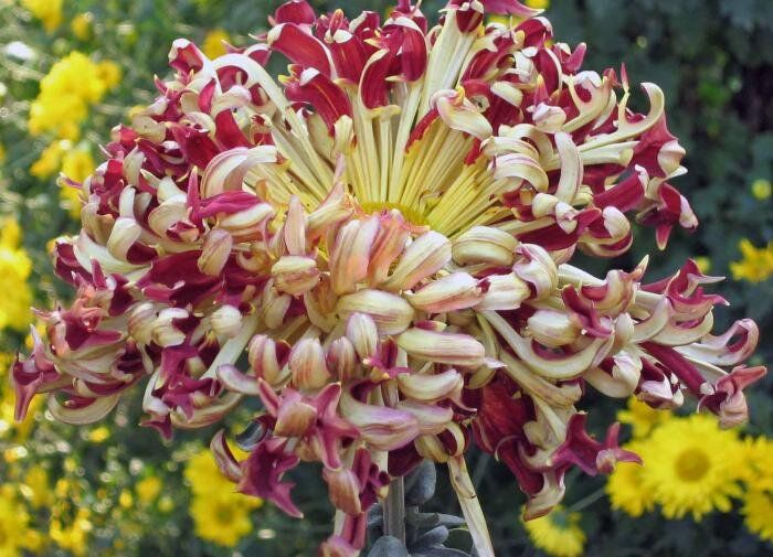 �������� �� ����� �� ���������� ����������� � ������ ������