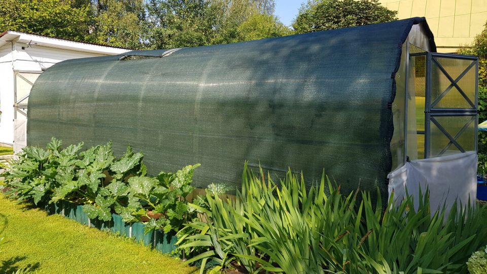 ��� ���������� ��������� ��������� �������: ����������� ������