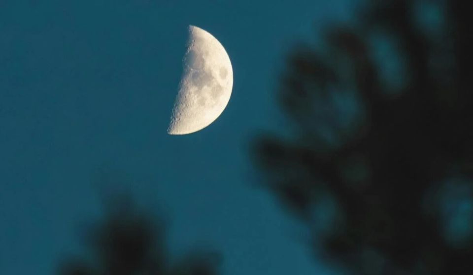 � ������� 2025 ����: ����� ����� �������� ������ ����