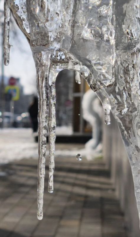 ����� �� ���������� ������