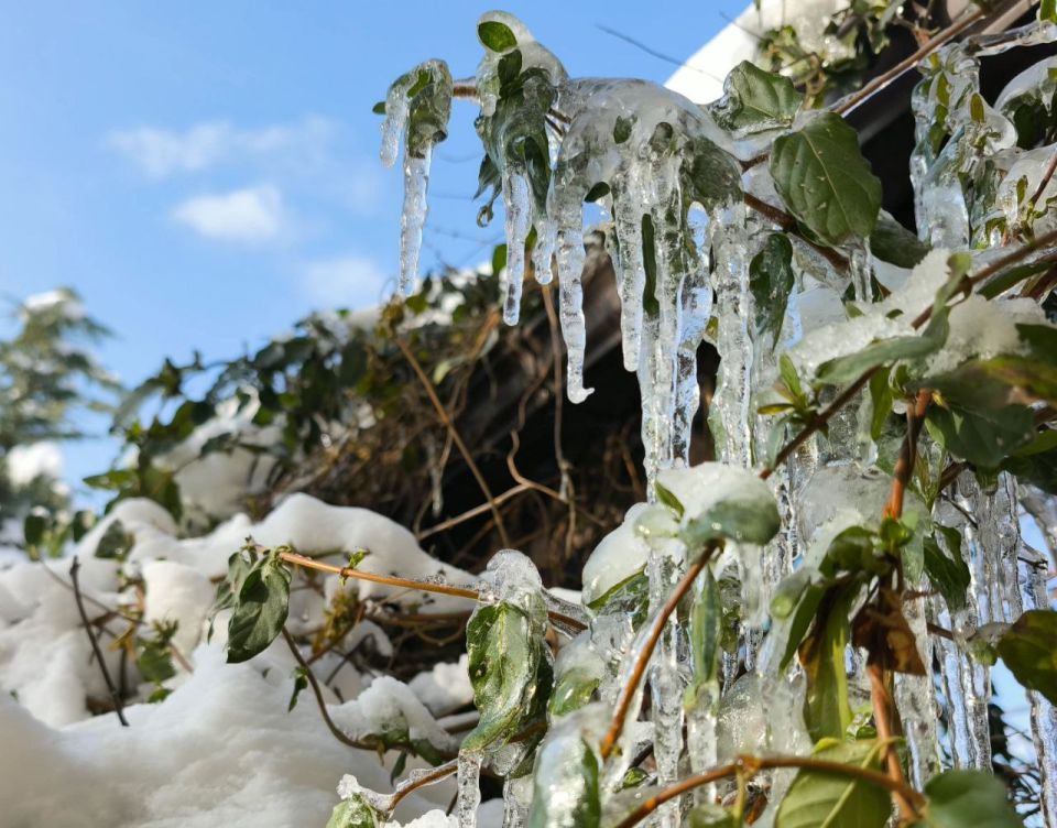 ����� �� ���������� ������