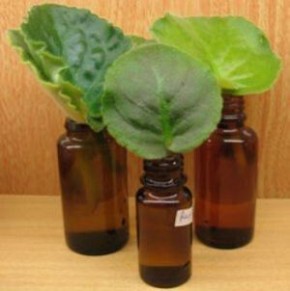 ��� ����� ���������� ������ �� �����: ��������� ����������� ��� ����������