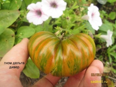 ����� ������ �����: ��� �������� ����������� ������ � �����