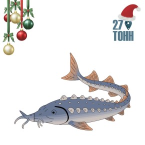 ��� ������� ���� � ����������� ����� � �� ��������� � ���������