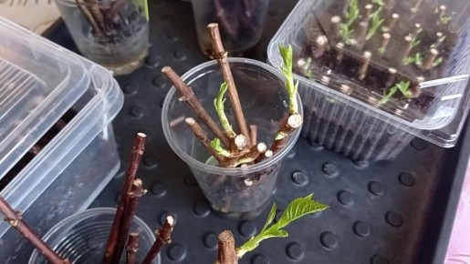 ����� � ����������� ���������: ������� ������������