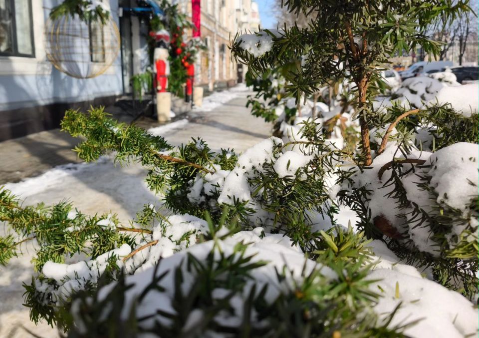 ����� �� ���������� ������