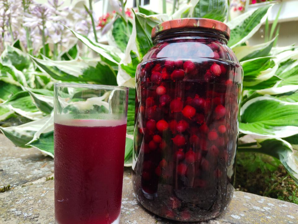 ������� ������ �� ����: ������� � ���������� ������ ��� �����