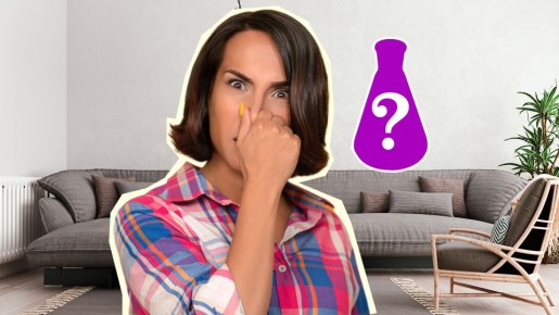 ������ ������� ���������� ������ � ����: ���� ���������� � ���� ���������