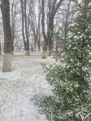 ������� � ������� �� 6 �������: