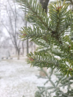 ������� � ������� �� 7 �������: