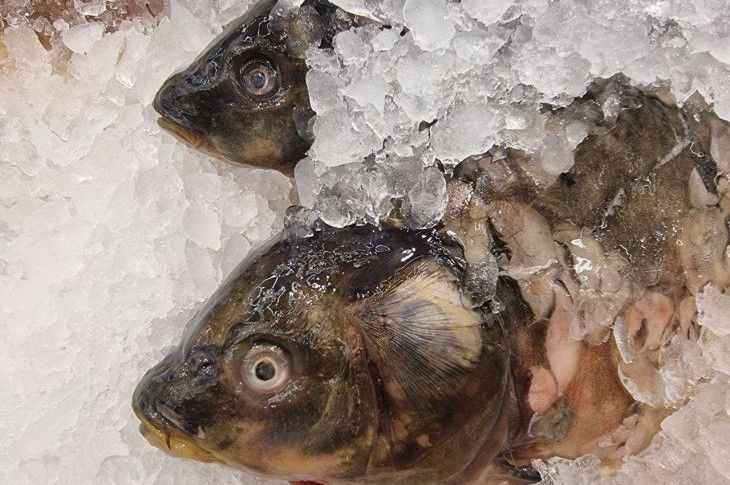 ��� ����������� ������, ����� ��������� ������ ������ ��������: ��������� �������