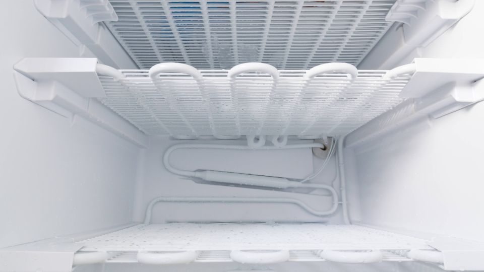 �� �������� �������� ���, �������� �����������: ��� ��� ������� �� ������ �������