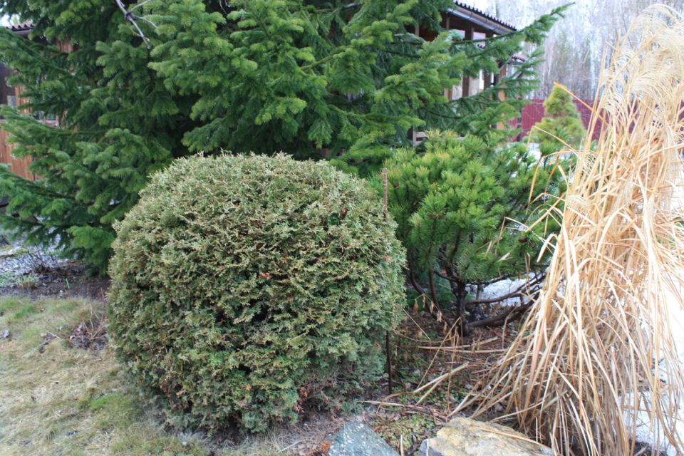 �������� � ����������: ��� ��������� ���� ��� ����� ��������� �������