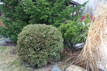 �������� � ����������: ��� ��������� ���� ��� ����� ��������� �������