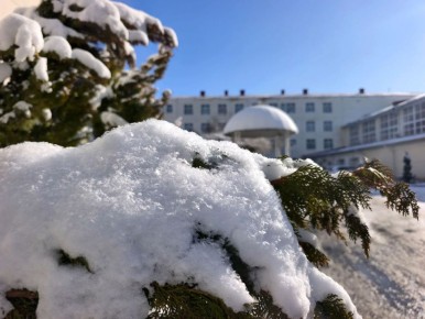 ���� ������ ���� ������ �� ������ �����