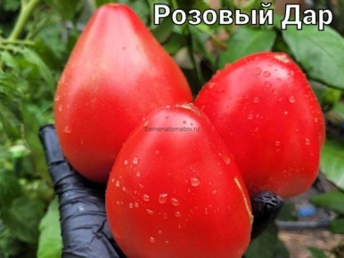 ����� ������� ���: ��� ��������� ������� ����� ��� ������� � �����������