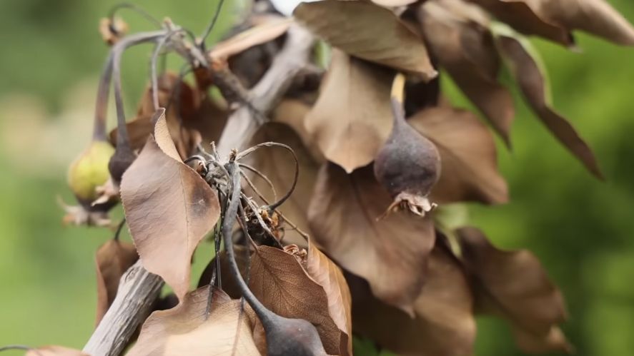 ��� ������� ���������� �������� ��� ����: ������� ��������������