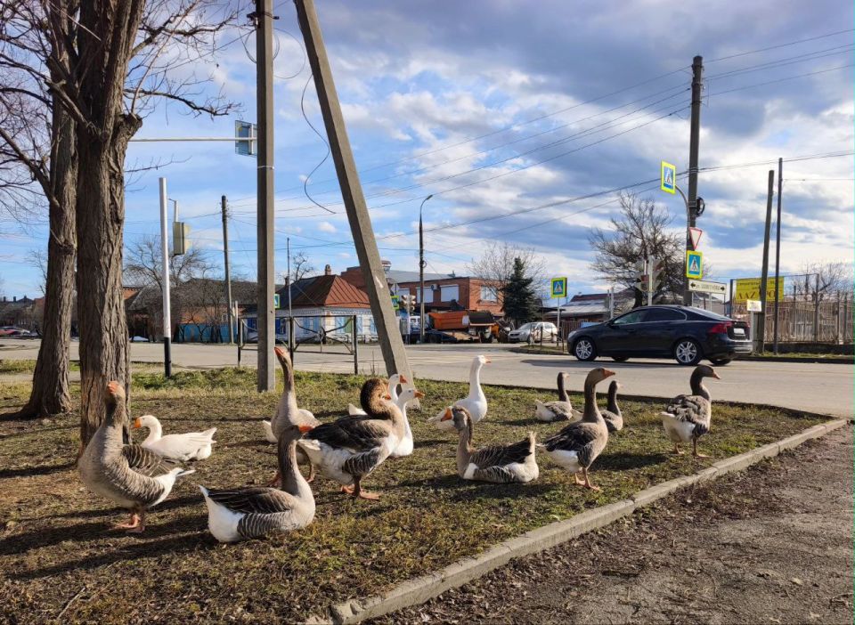 ������ ������ ��������, ��� �� �������