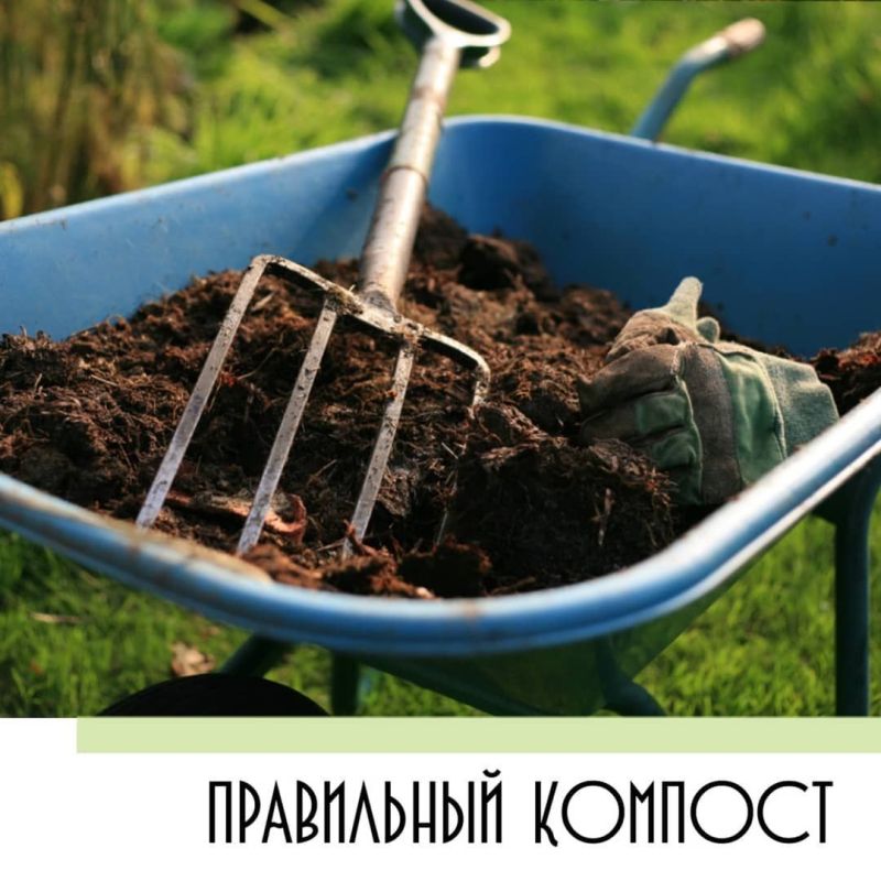 Как компост может навредить вашему огороду: 5 распространенных ошибок