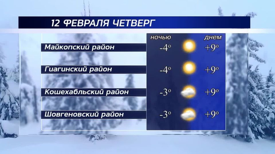 ������ ����!. ������ � ���������� �������, 12 �������