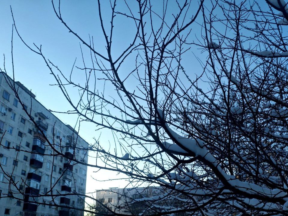 ������ � ������� �� 12 �������: