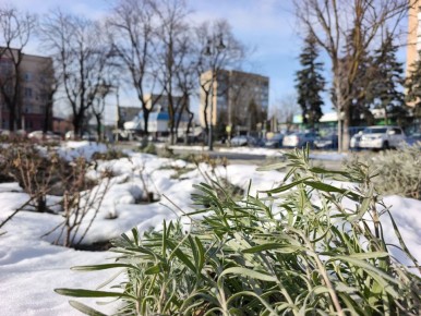 13 ������� � ������ �������, ������� �����