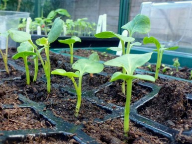 ������ ������ ��������� �� ������ �� ����� ������ �����