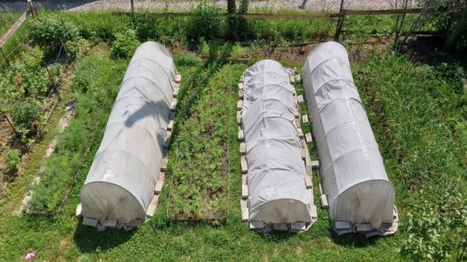 На даче с любовью: как сделать отдых не только приятным, но и продуктивным