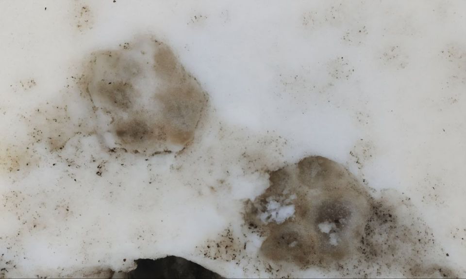 ����� �������� ���������� �� ���������� ���������� ����� ������ �������� �����