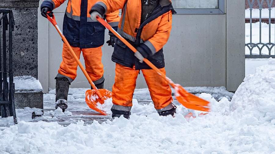 ����������� ������� ���������� ������������ ����� � ������