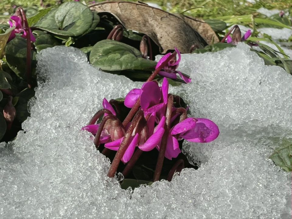 ������������ �����. ��������� ������/��������� ������