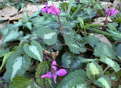 14 ������� � ������ ��������