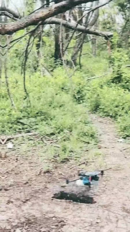 ����������� ������� � ���� ����� � �������