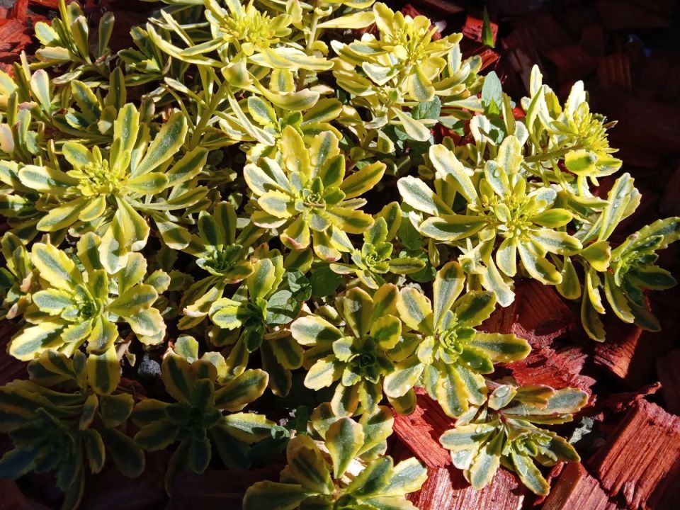 ���������� ������� � ����