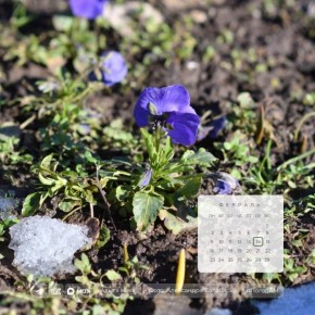 ������ ����!. 14 ������� � ������ ��������� �����