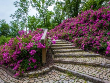 ��� ������� �������� ����� �����: �������� ��� ��������� � �������