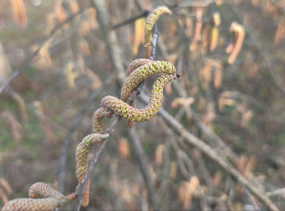 16 февраля в Адыгее облачно