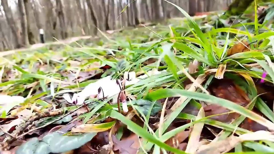 �� ����� ��� ������, �� � ����� ��� ������ ��� �������� � ���� �����