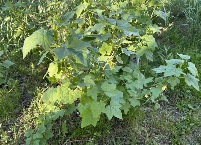 ������� ��������� ����� �� ���������� � ����� ����